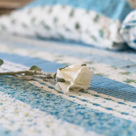 Apartamento Stella - Three-bedroom With Balcony And Terrace *